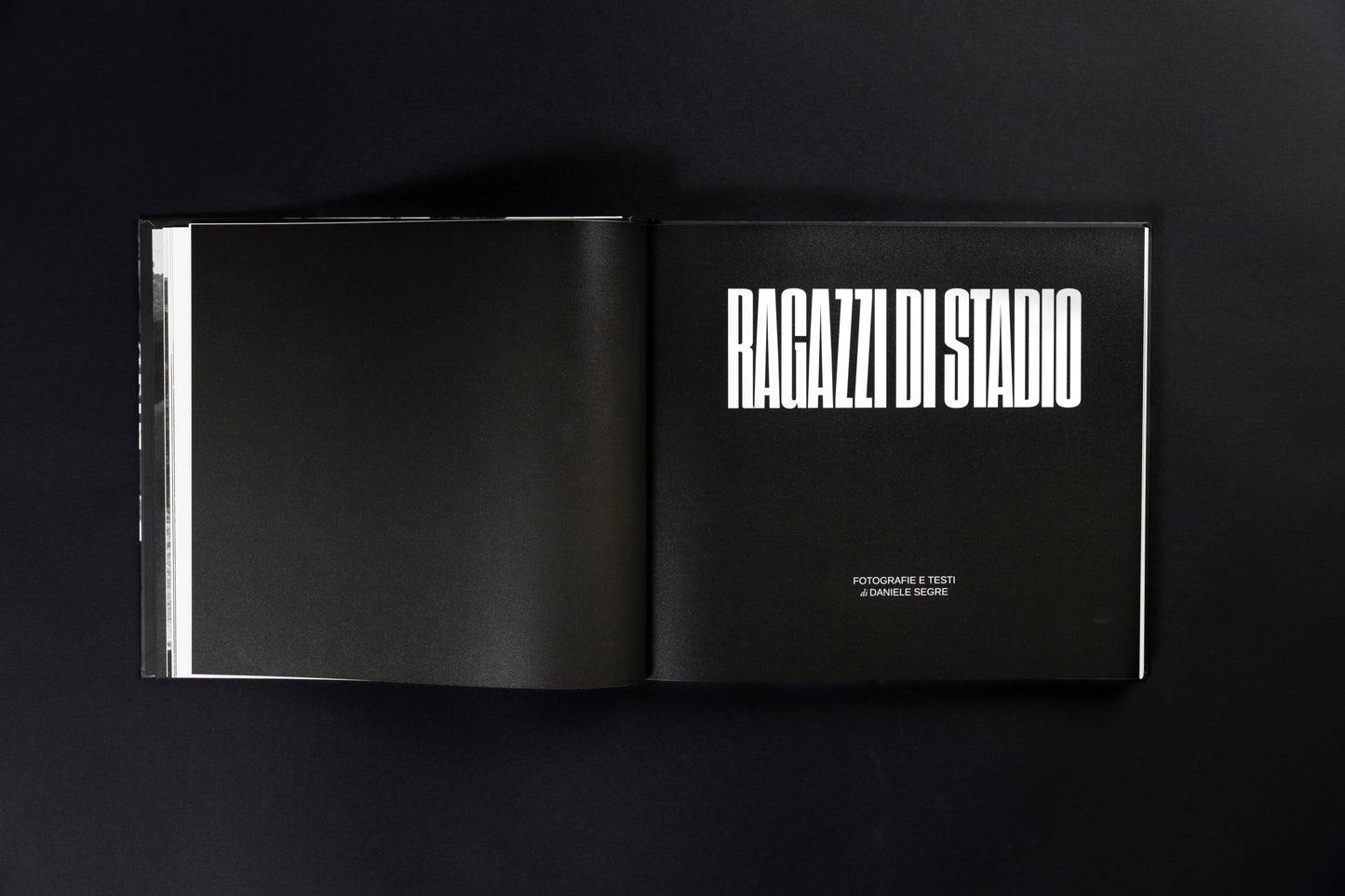 Ragazzi di stadio - Libro